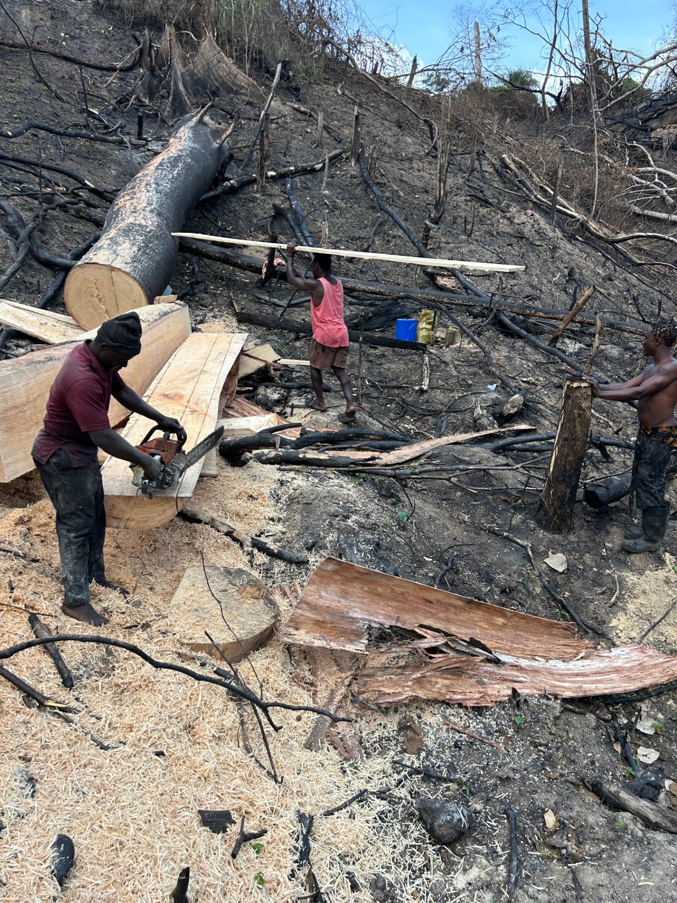 Milling lumber on site
